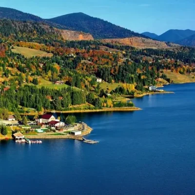 Colibita